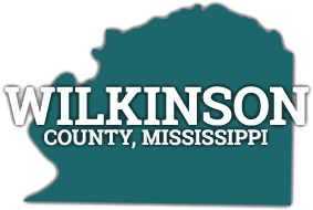 Wilkinson County Courts